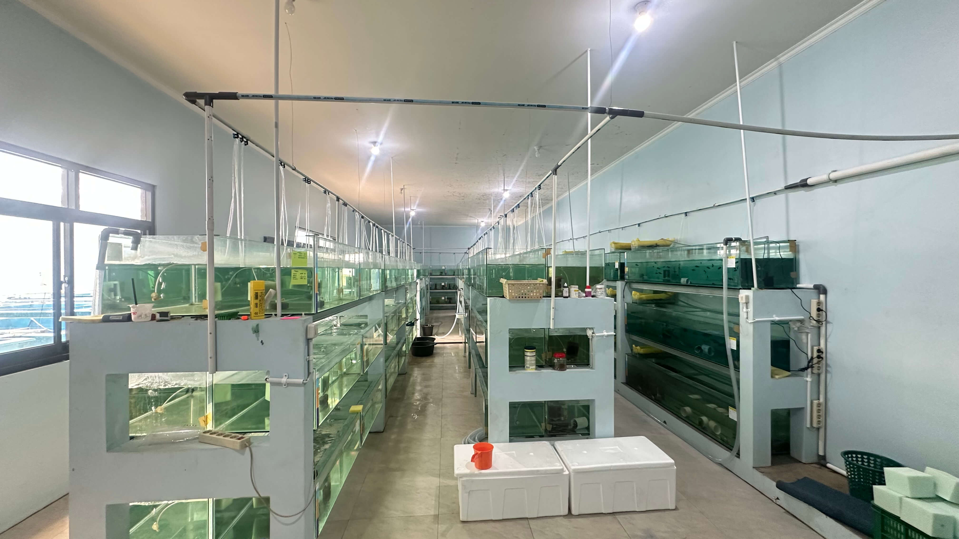 Teaching Farm SV IPB Jurusan IKN