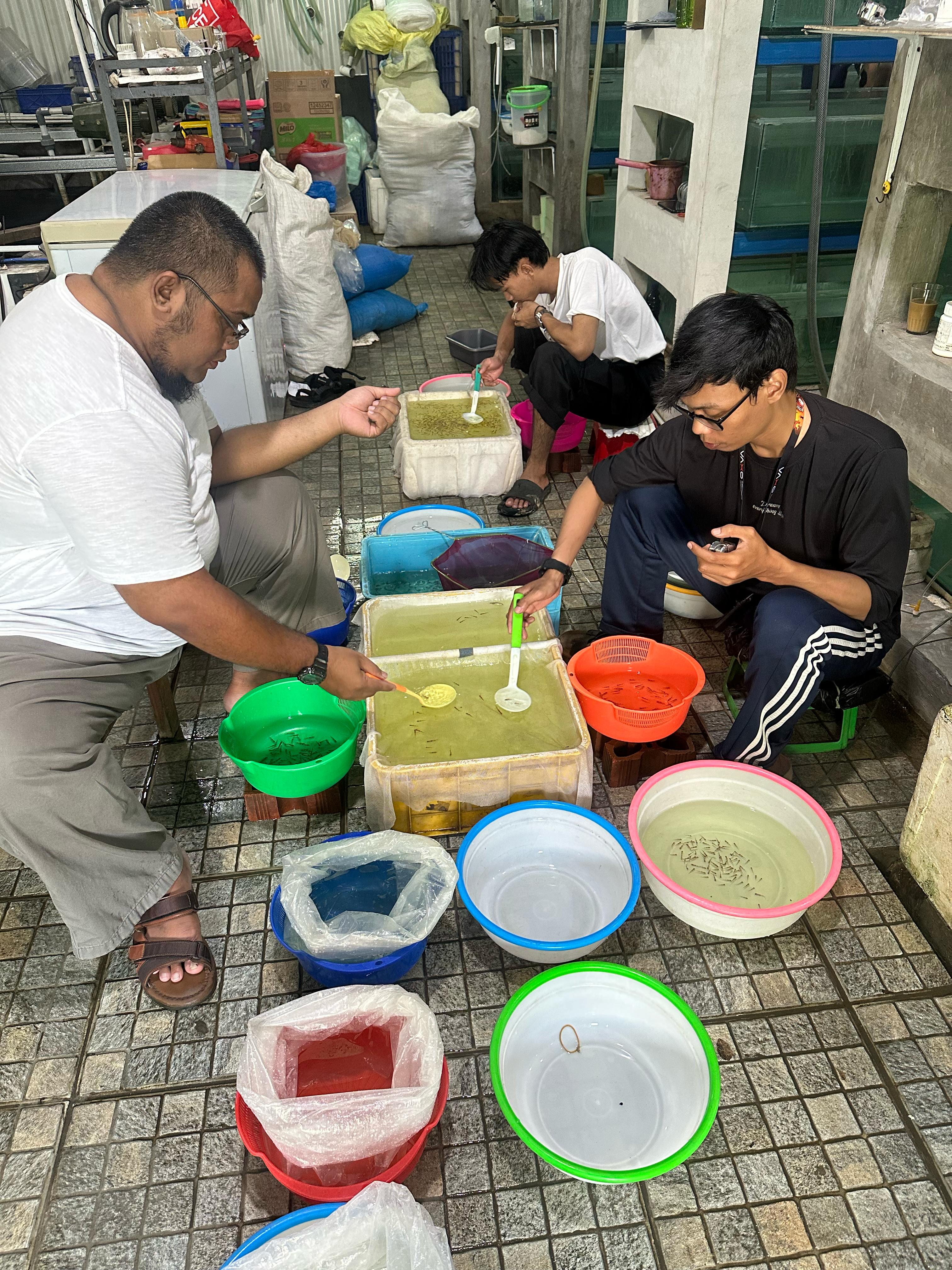 Bogorian Aquatics Jalin Kerja Sama Ekspor dengan Eksportir Deden:  Langkah Baru Menuju Pasar Global